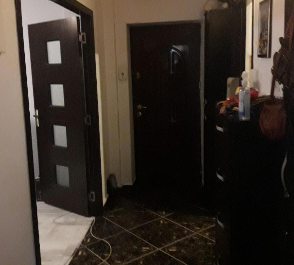 Alfredo Apartament 布泽乌 外观 照片